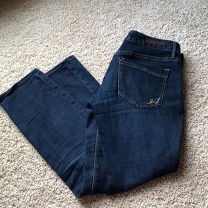 Express Skinny Low Rise Jeans